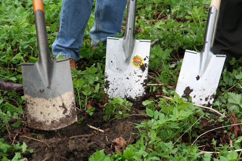 pepiniere-THEOULE SUR MER-min_work-lawn-flower-tool-green-backyard-1103633-pxhere.com